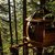 The Hemloft de Joel Allen (Whistler, Canada) 